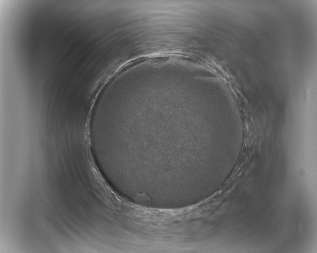 X0000070410002200606121342