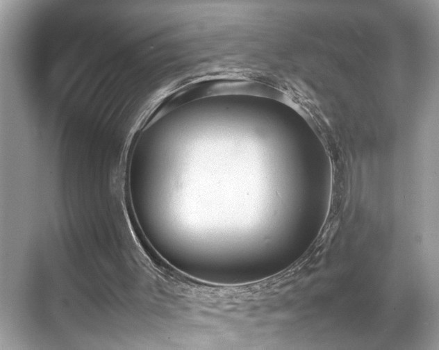 X0000070410003200606121342