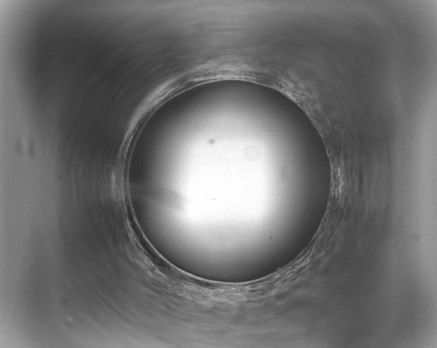 X0000070410004200606121342