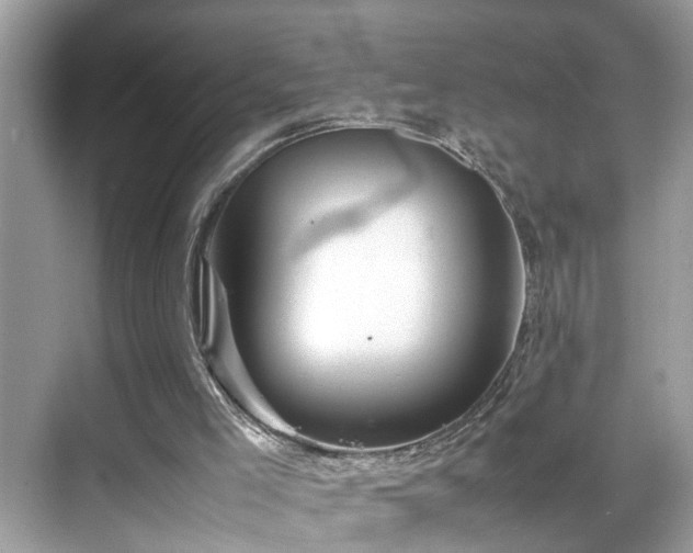 X0000070410005200606121342