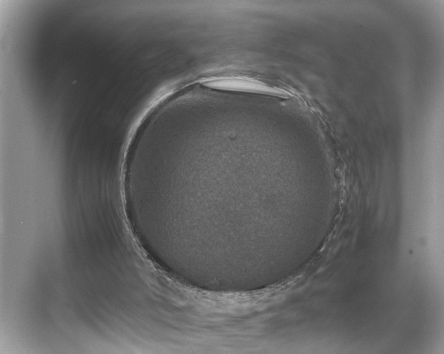 X0000070410006200606121342