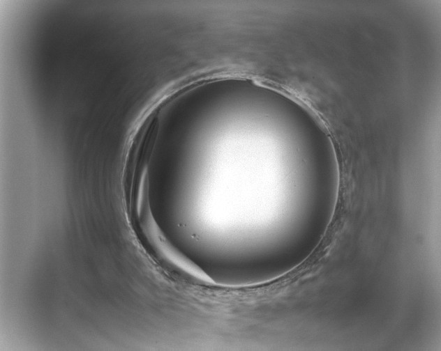 X0000070410007200606121342