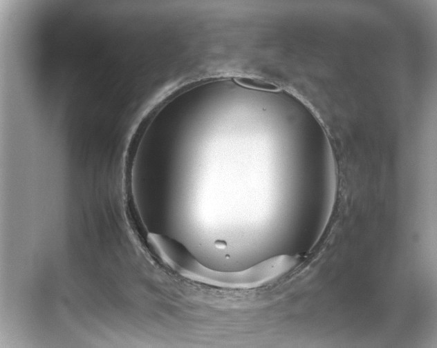 X0000070410008200606121342