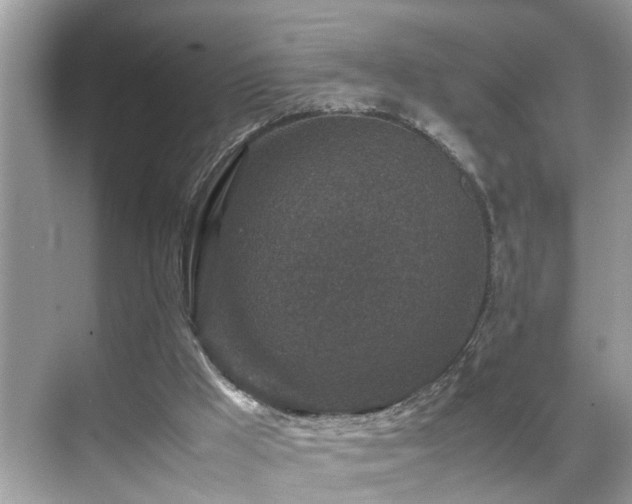 X0000070410009200606121342