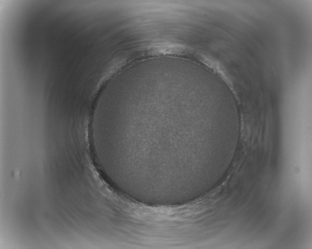 X0000070410010200606121342