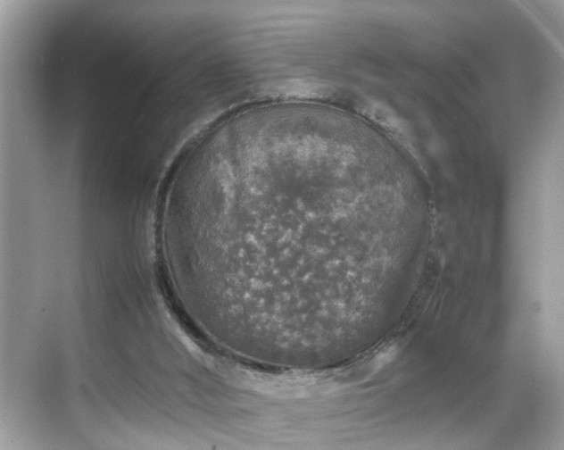 X0000070410012200606121342