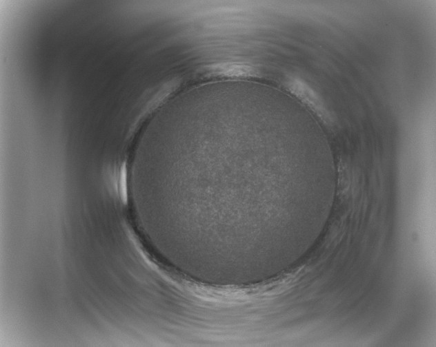 X0000070410014200606121342