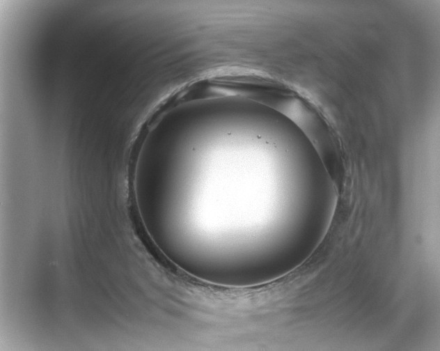 X0000070410015200606121342