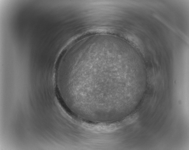 X0000070410016200606121342