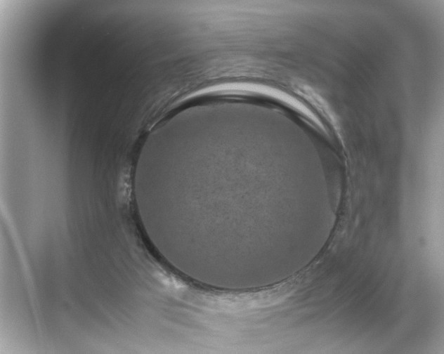 X0000070410017200606121341