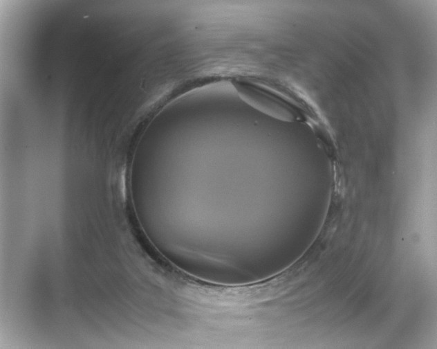 X0000070410019200606121341