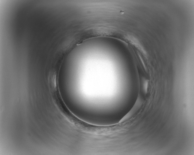 X0000070410021200606121341