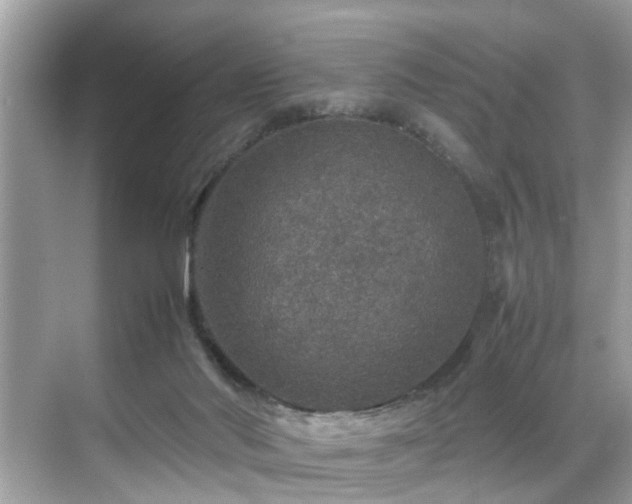 X0000070410022200606121341