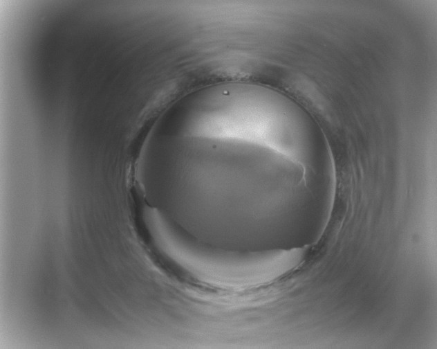 X0000070410023200606121341