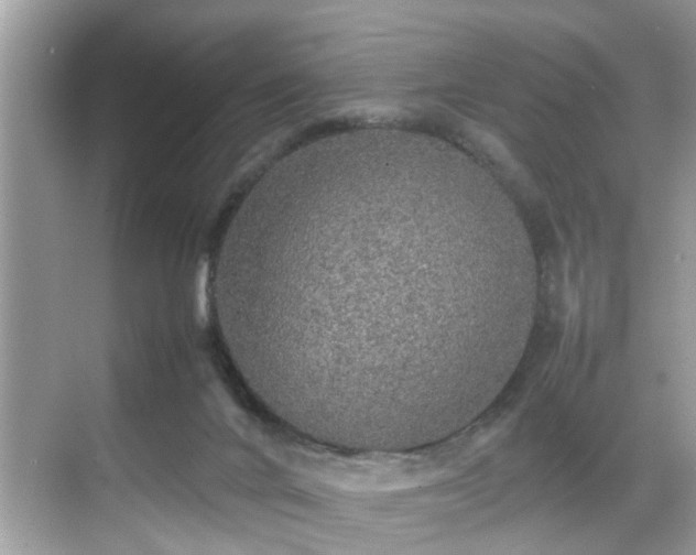 X0000070410024200606121341