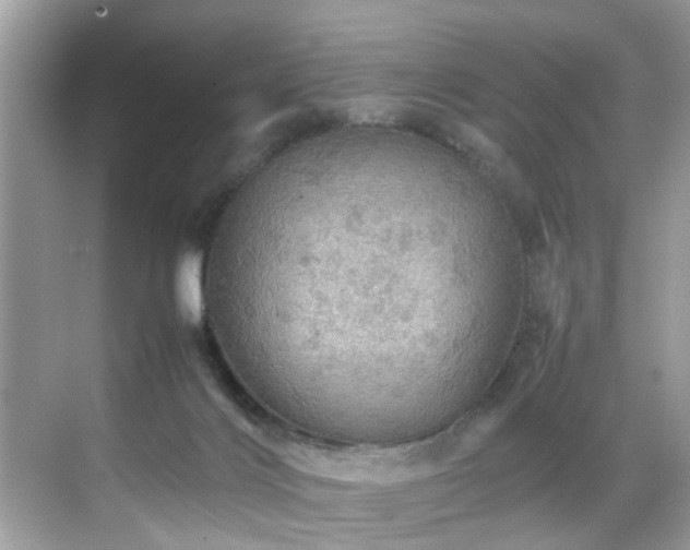 X0000070410028200606121341