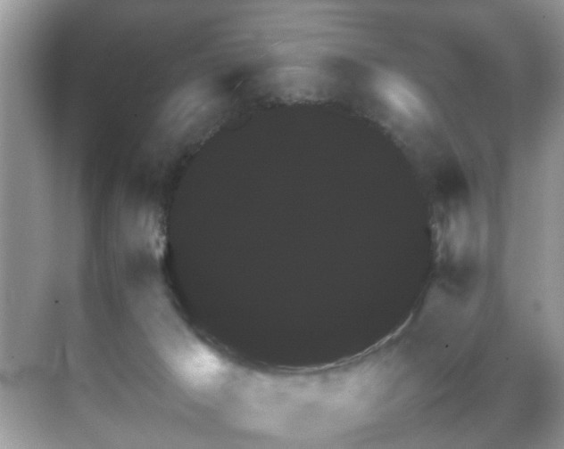 X0000070410029200606121341