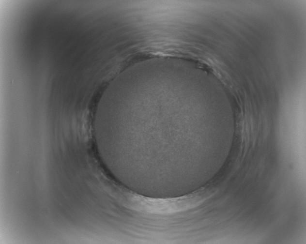 X0000070410030200606121341