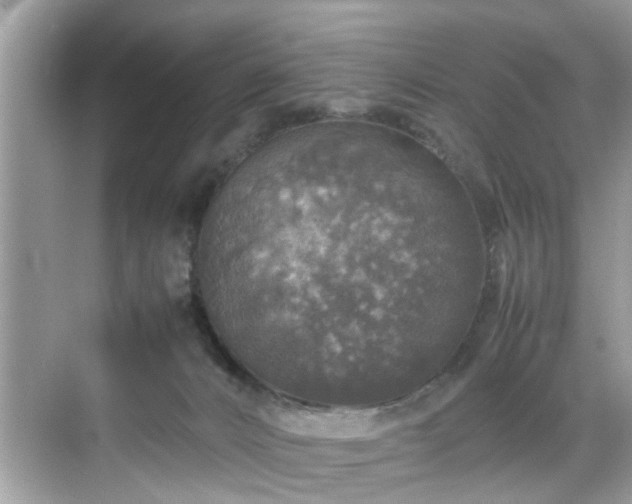 X0000070410032200606121341