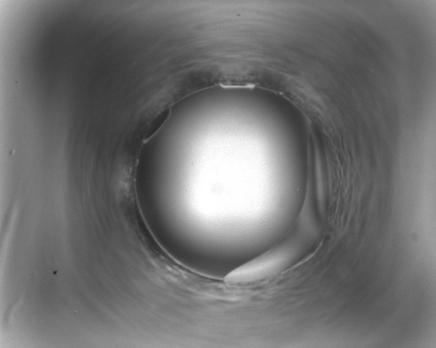 X0000070410033200606121341