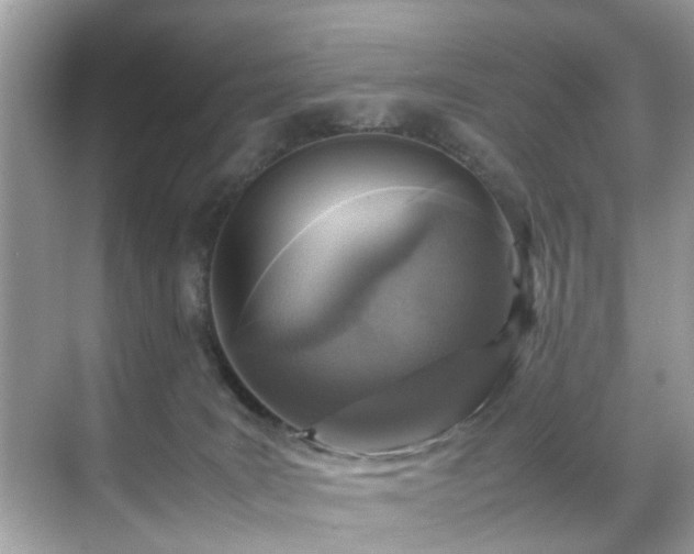 X0000070410035200606121341