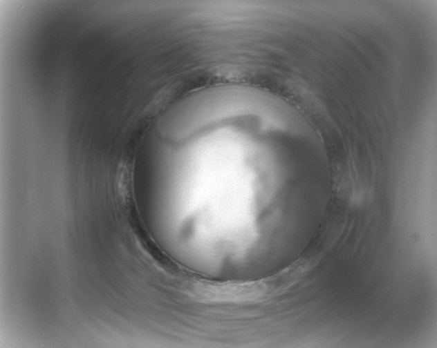 X0000070410036200606121341