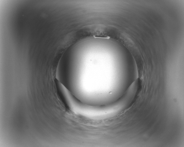 X0000070410037200606121341