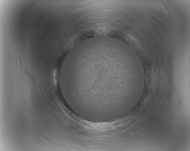 X0000070410038200606121341