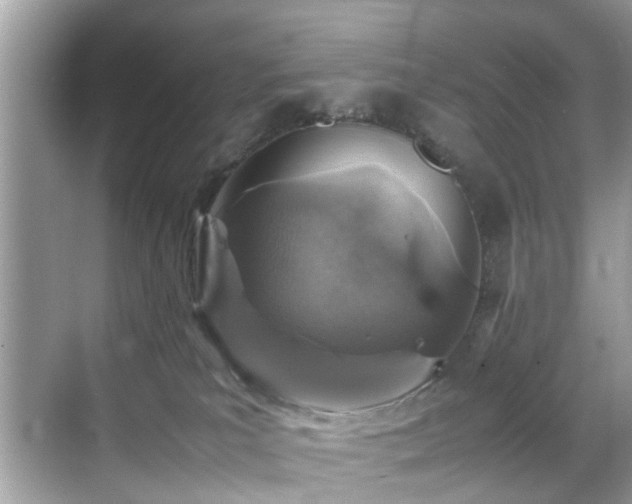 X0000070410039200606121341