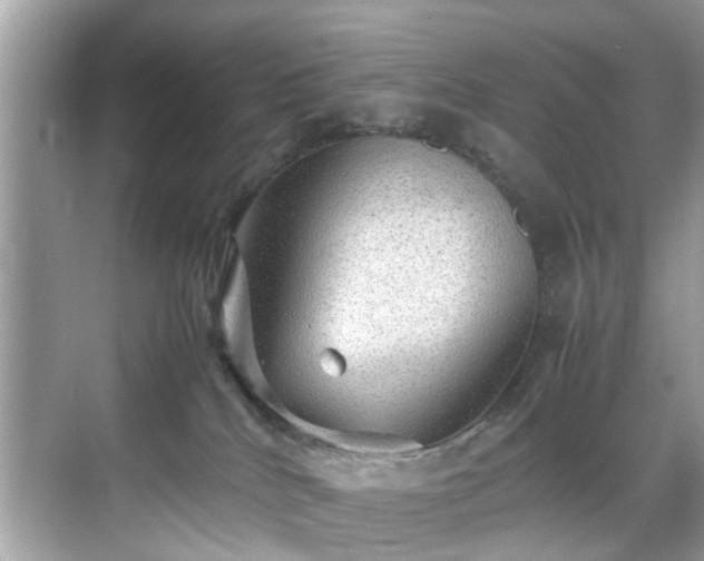 X0000070410040200606121341