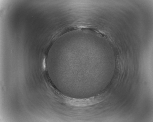 X0000070410042200606121341