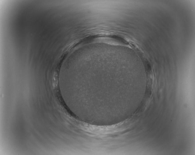 X0000070410043200606121341