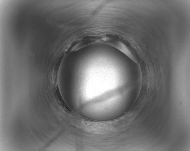 X0000070410044200606121341