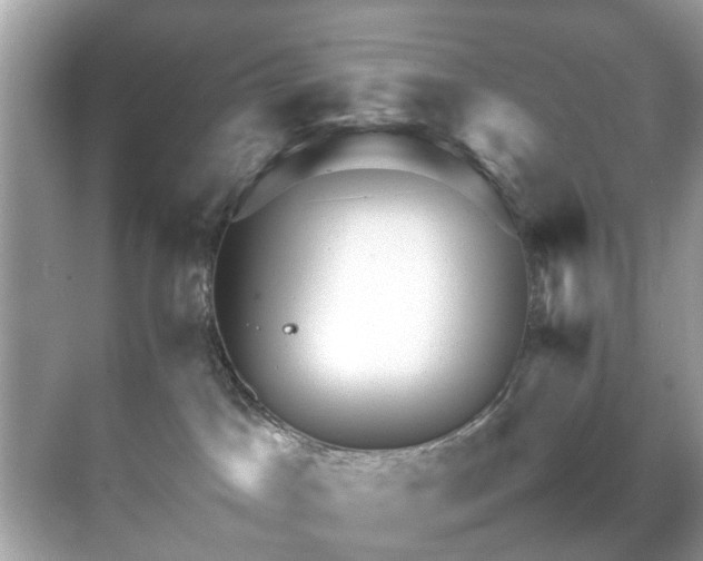 X0000070410045200606121341