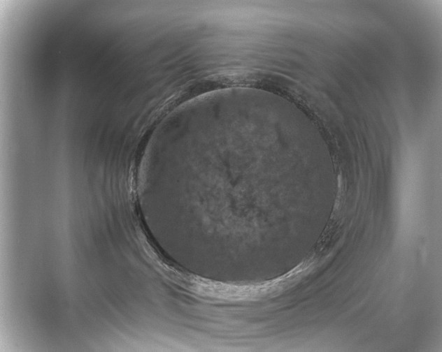 X0000070410048200606121341