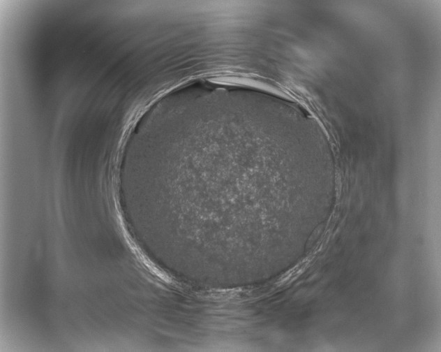 X0000070410049200606121340