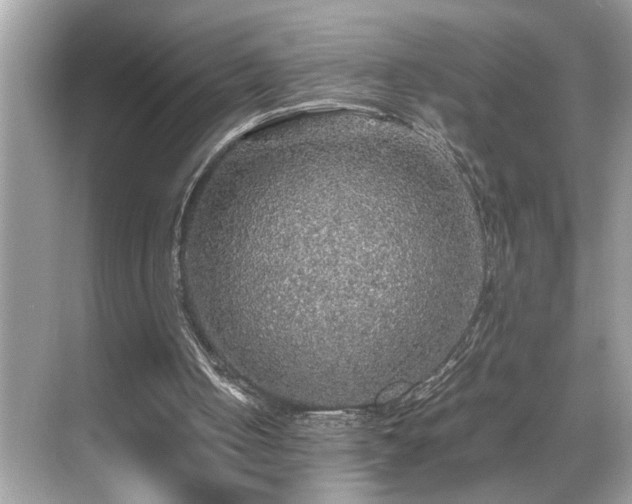 X0000070410050200606121340