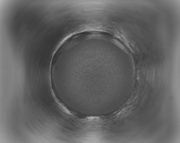 X0000070410052200606121340