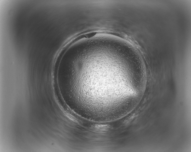 X0000070410055200606121340