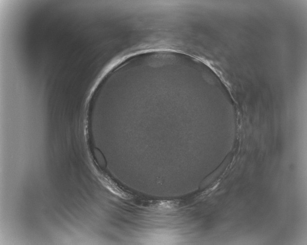 X0000070410056200606121340