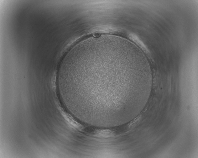 X0000070410058200606121340