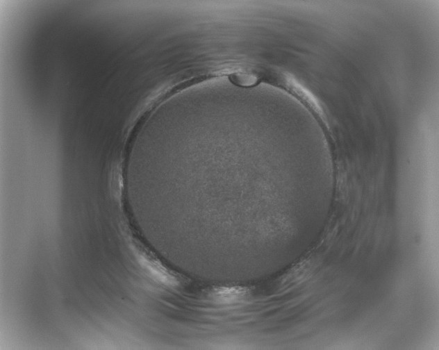 X0000070410059200606121340