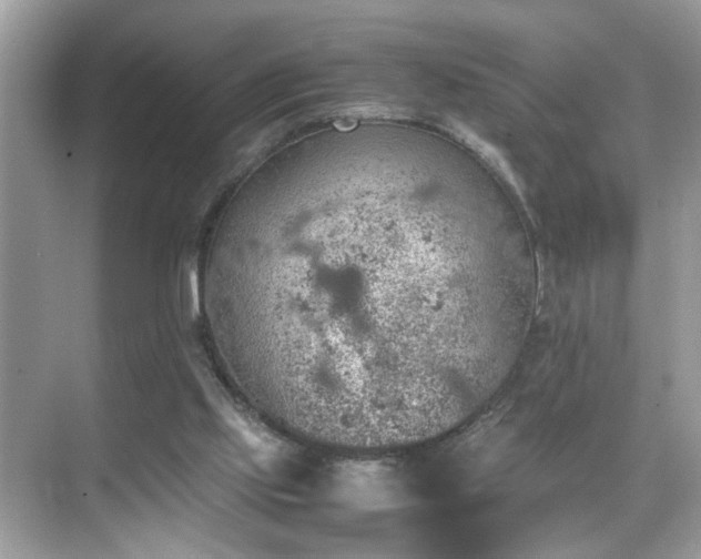 X0000070410061200606121340