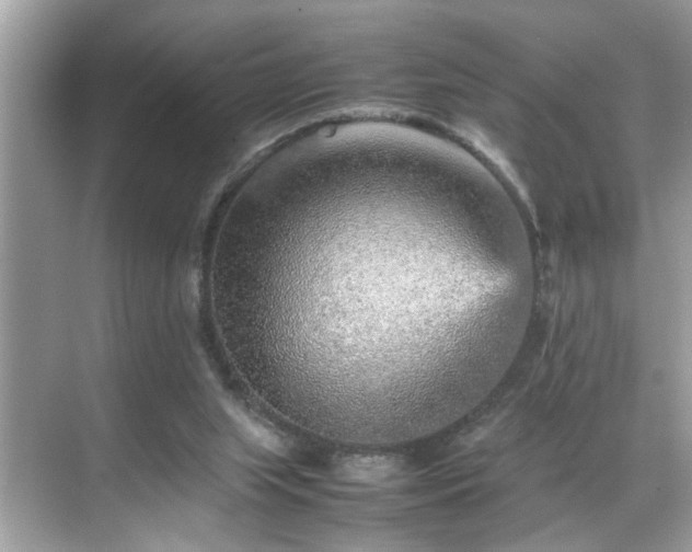 X0000070410063200606121340