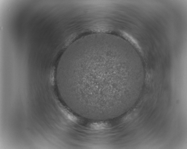 X0000070410065200606121340