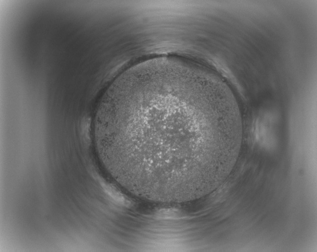 X0000070410066200606121340