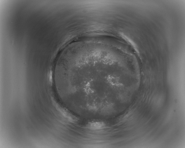 X0000070410067200606121340