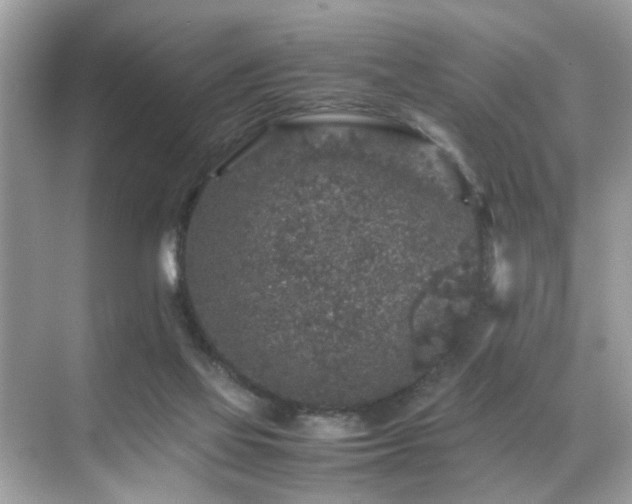 X0000070410069200606121340