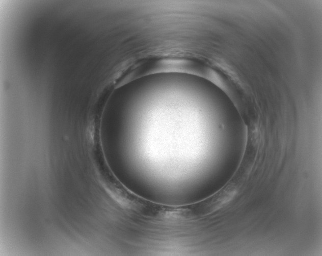 X0000070410072200606121341