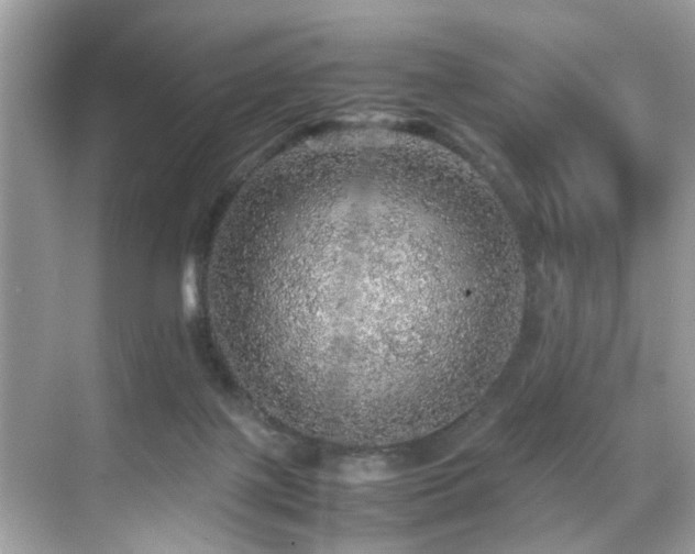 X0000070410075200606121341